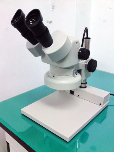 40X Microscope